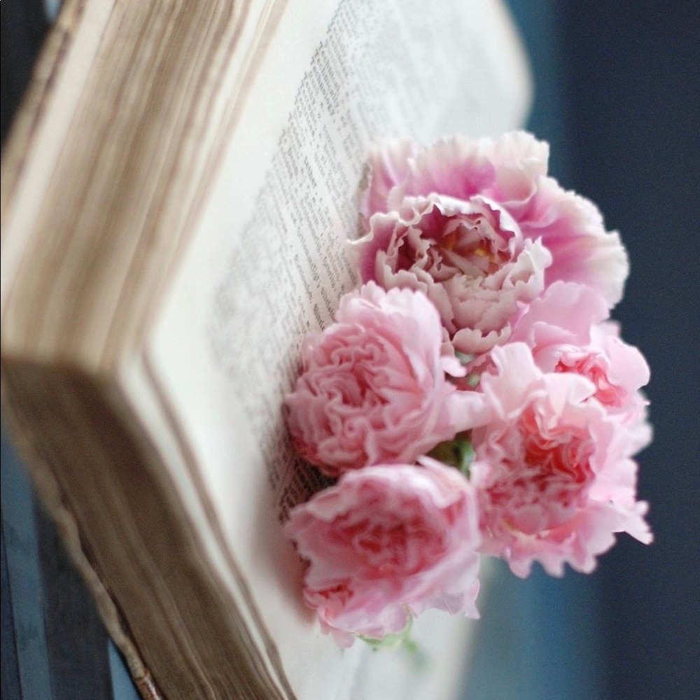 Meet your Posher, Catherine